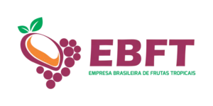 EBFT
